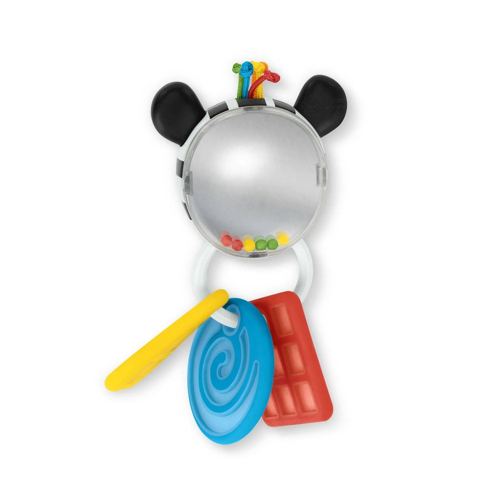 Baby Einstein Baby Einstein Shake - a - Shape Zen Teether Toy