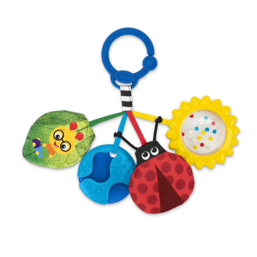 Baby Einstein Baby Einstein Touch of Nature Sensory Toy