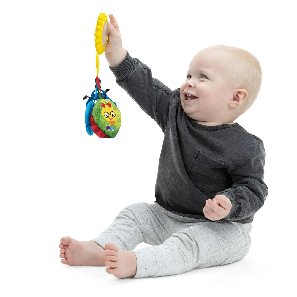 Baby Einstein Baby Einstein Touch of Nature Sensory Toy