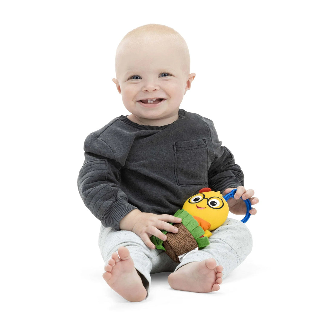 Baby Einstein Baby Einstein Cal - a - Puller Pull & Shake Toy