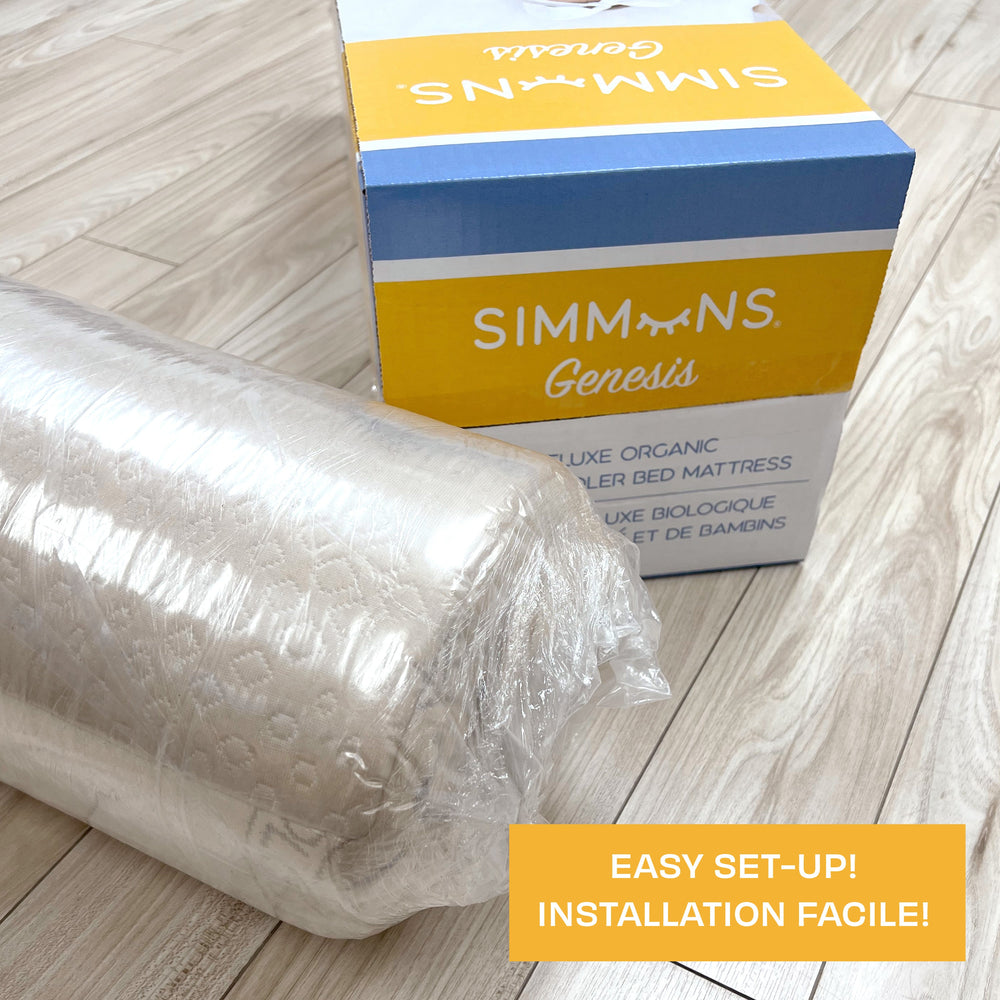 Simmons Simmons Genesis In Box