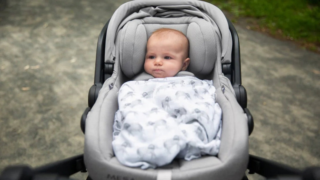 UPPAbaby MESA - Best Baby Car Seats Toronto - Macklem's Baby Store
