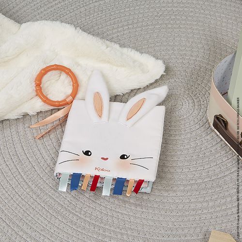 Kaloo - Activity Book The Rabbit In Love