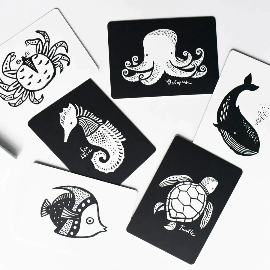 Wee Gallery Art Cards - Ocean