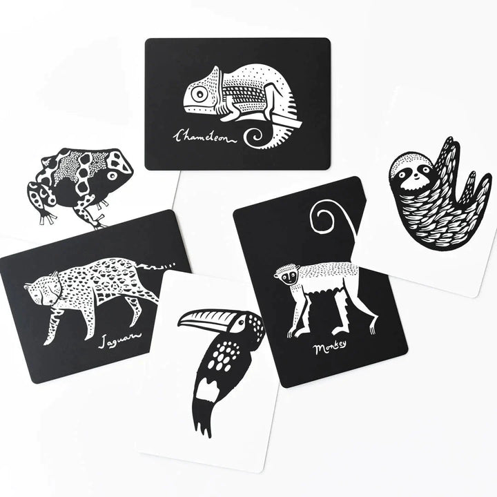 Wee Gallery Art Cards - Rainforest Collection