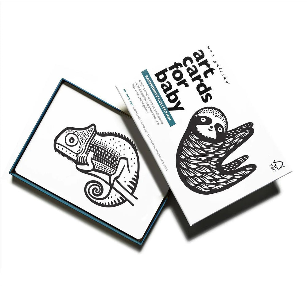 Wee Gallery Art Cards - Rainforest Collection