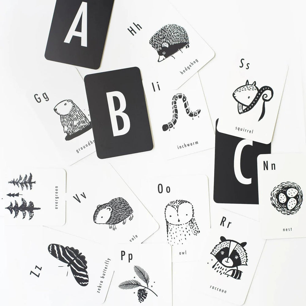 Wee Gallery Art Cards - Woodland Alphabet Cards