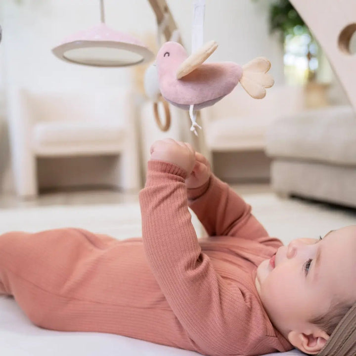 aden and anais Baby Activity Gym ma fleur