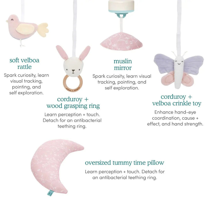 aden and anais Baby Activity Gym ma fleur