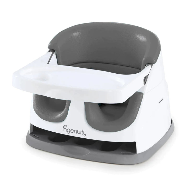 InGenuity Baby Base 2 - in - 1 Seat - Slate