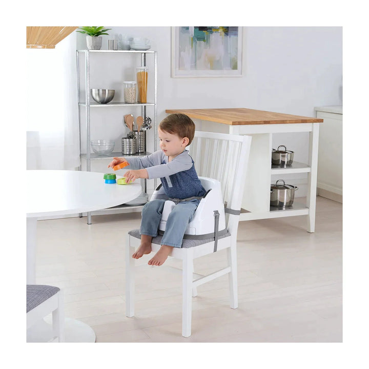 InGenuity Baby Base 2 - in - 1 Seat - Slate