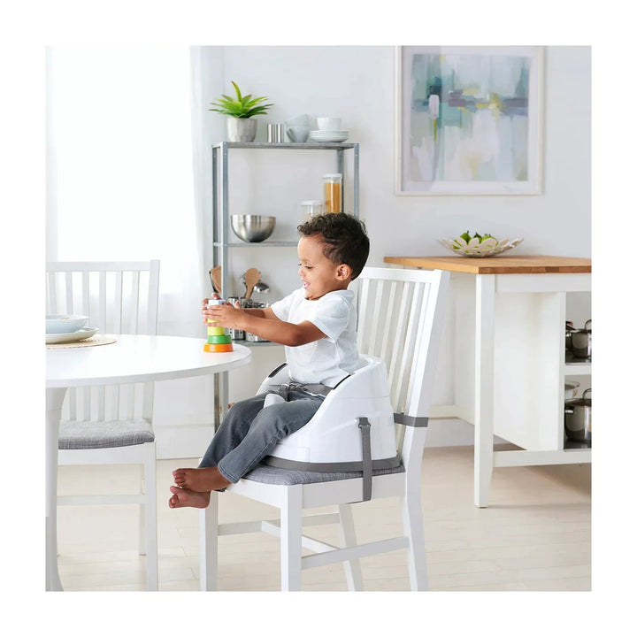 InGenuity Baby Base 2 - in - 1 Seat - Slate