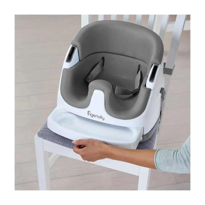 InGenuity Baby Base 2 - in - 1 Seat - Slate