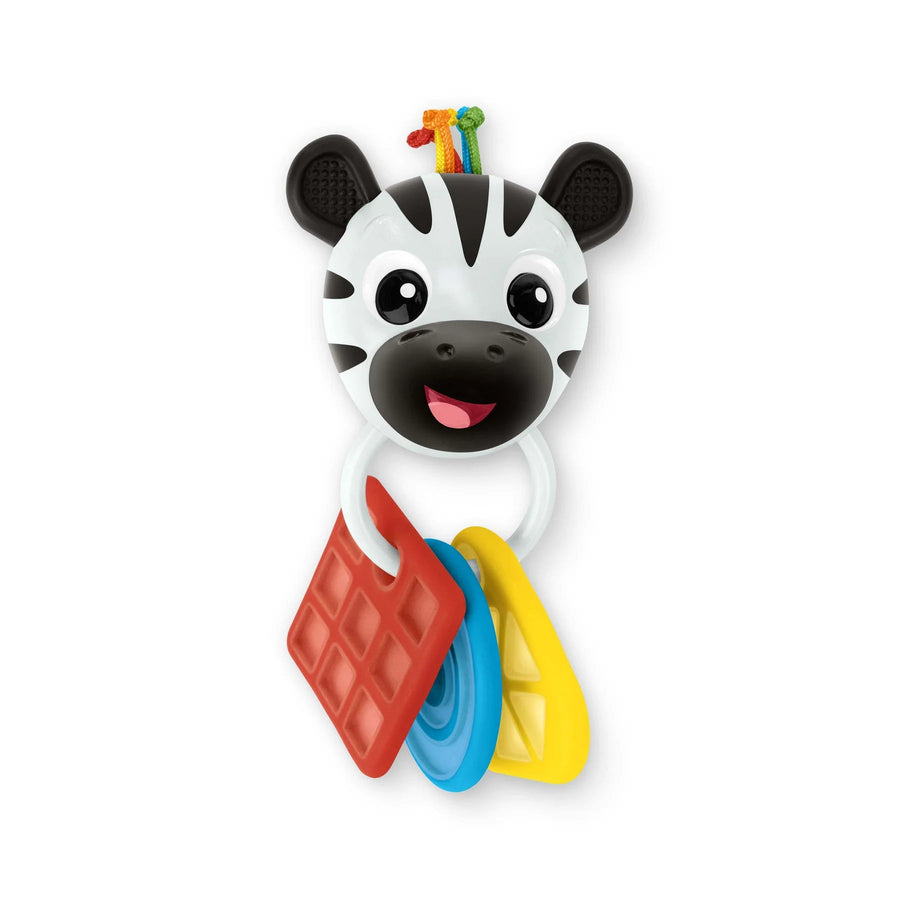 Baby Einstein Shake - a - Shape Zen Teether Toy