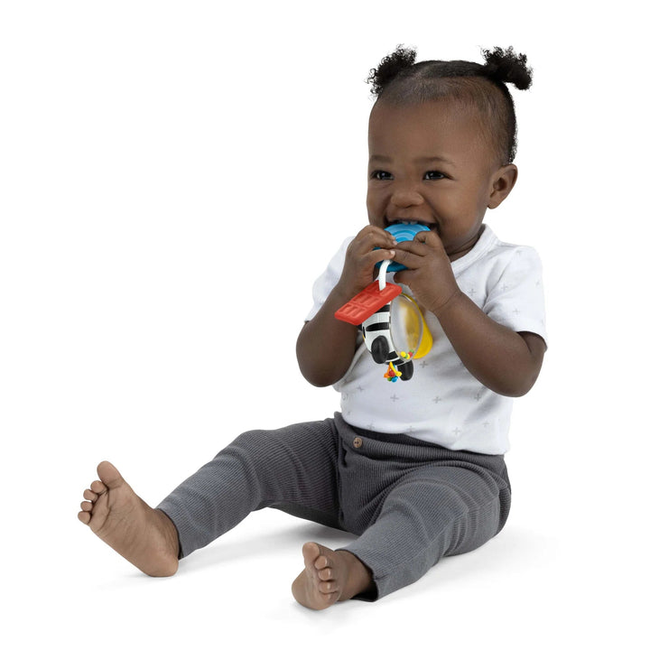 Baby Einstein Shake - a - Shape Zen Teether Toy