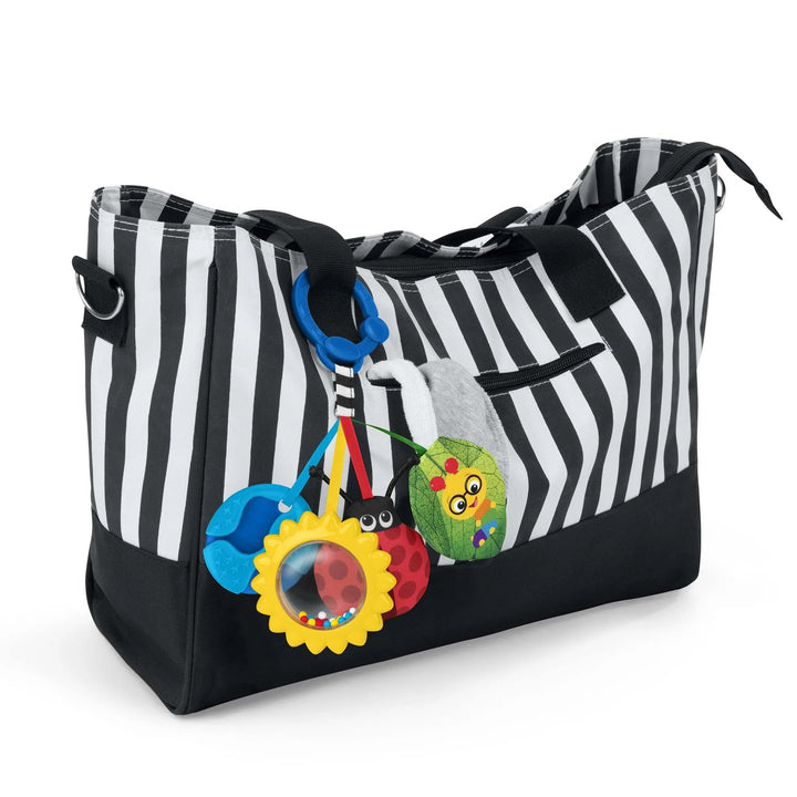 Baby Einstein Touch of Nature Sensory Toy