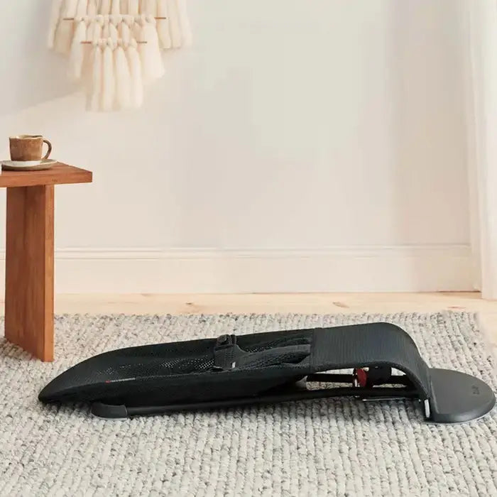 Baby Bjorn Holiday Bundle (Bouncer Balance + Carrier Mini)