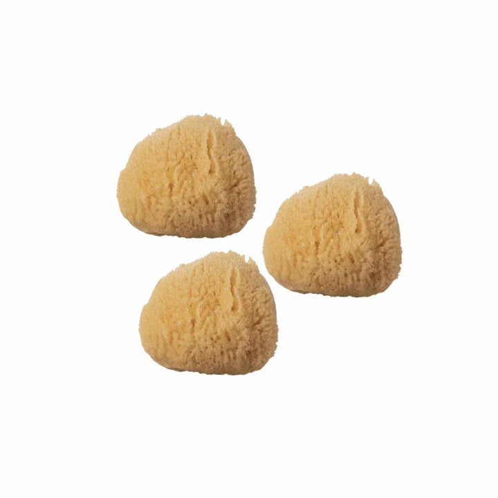 BAJA BABY Sea Sponge Mini 3pk - Image 2
