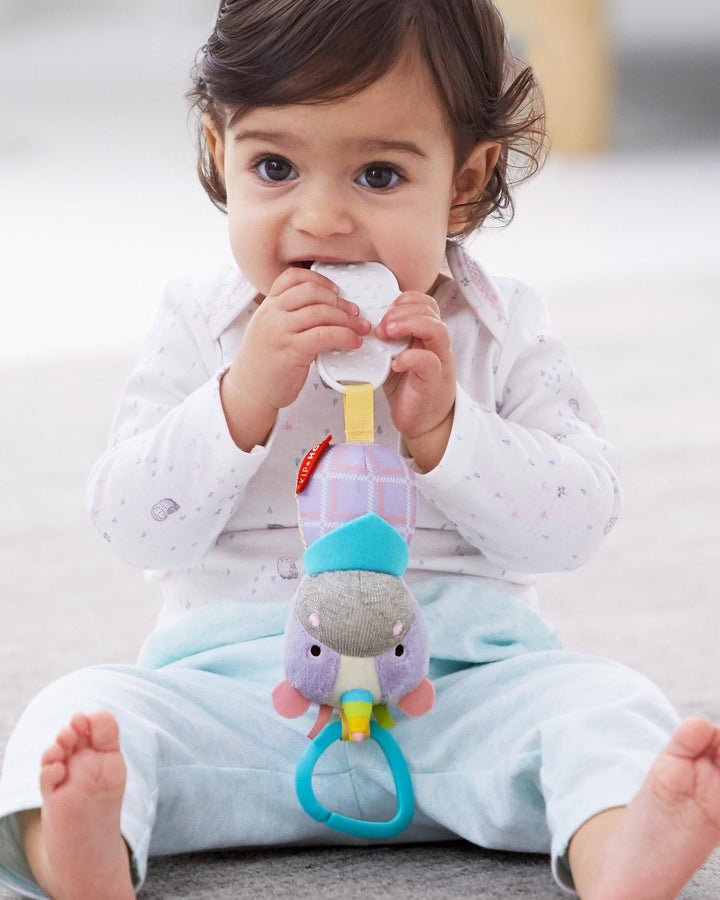 Skip Hop Bandana Buddies Chime & Teethe Toy