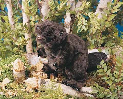 Folkmanis Puppets - Beaver Puppet - Image 2