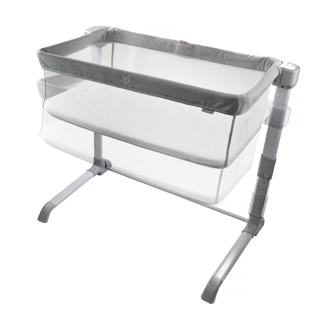 InGenuity Beginnings Bassinet