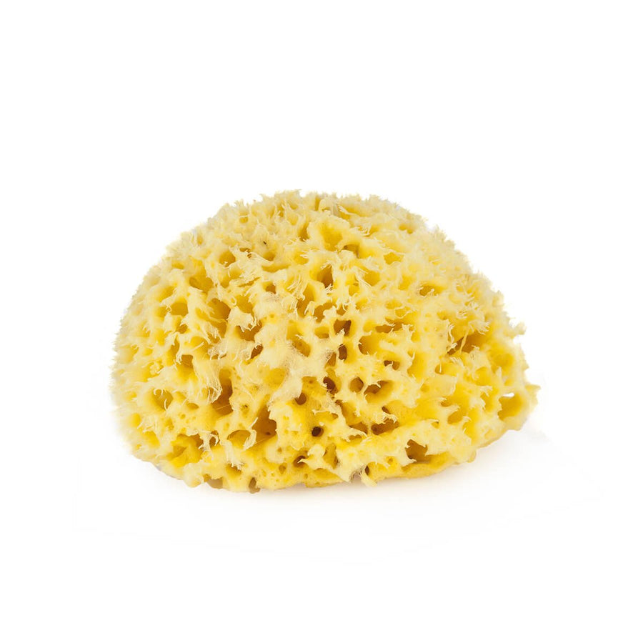 Bellini Natural Sea Sponge Honeycomb