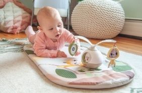 Tiny Love Tiny Love - Boho Chic 2 - in - 1 Take Along Deluxe Bassinet bassinets
