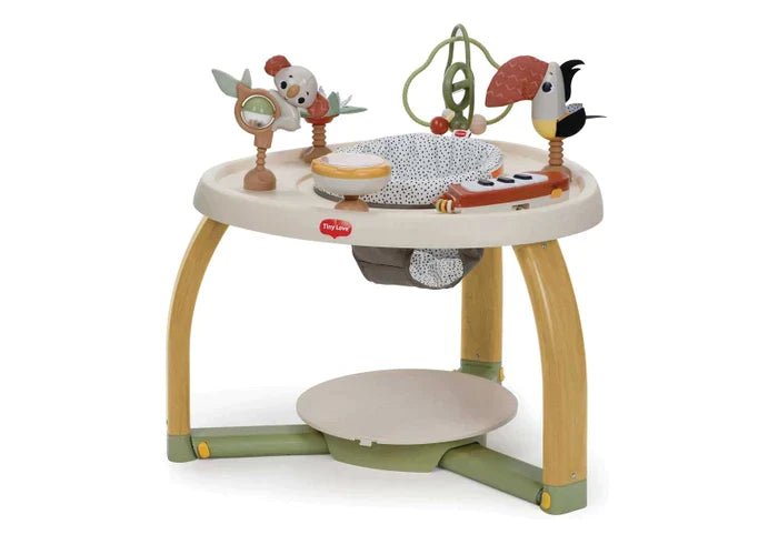 Tiny Love Boho Chic 5 - in - 1 Activity Center