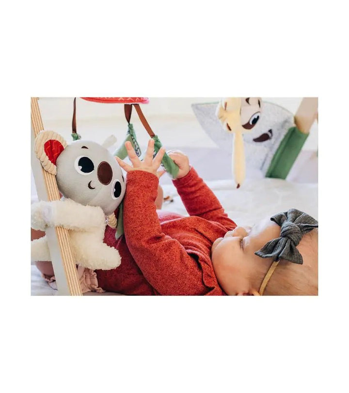 Tiny Love Boho Chic Luxe Developmental Gymini
