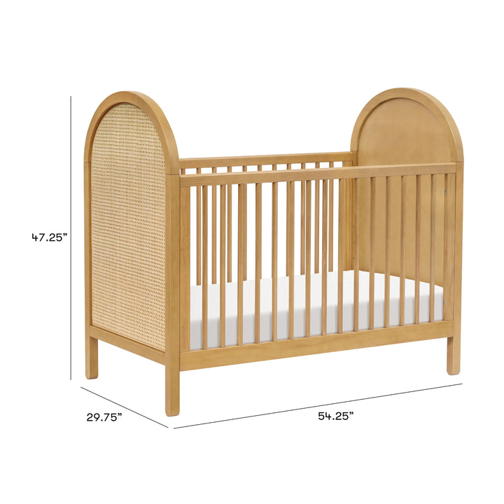 Babyletto Bondi Cane 3 - in - 1 Convertible Crib