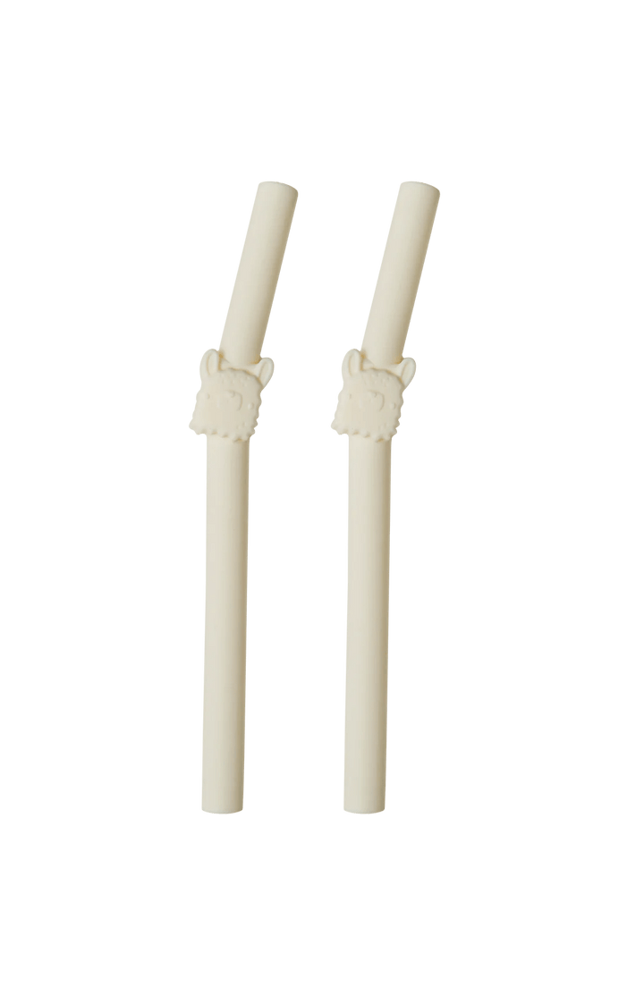 LOULOU LOLLIPOP LouLou Lollipop - Born To Be Wild Kids Straw 2pk cups