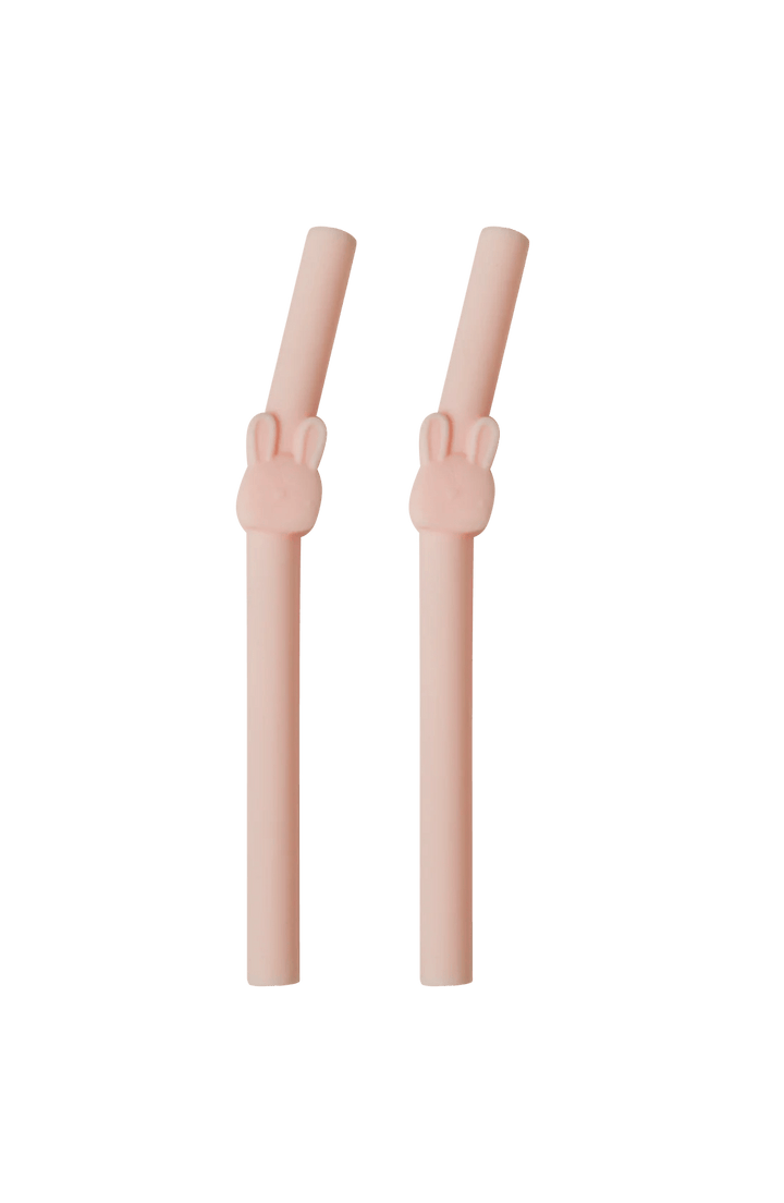 LOULOU LOLLIPOP LouLou Lollipop - Born To Be Wild Kids Straw 2pk cups