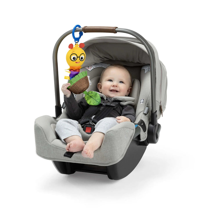 Baby Einstein Cal - a - Puller Pull & Shake Toy