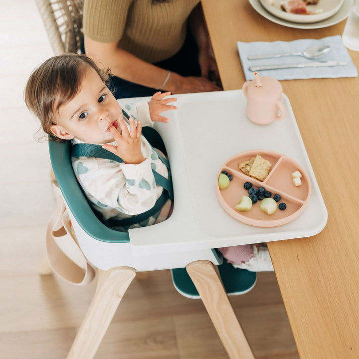 UPPAbaby Ciro High Chair