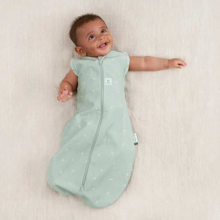 ergoPouch Cocoon Swaddle Bag 1tog Night Sky