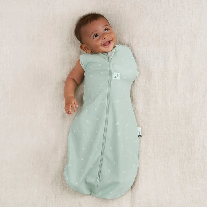 ergoPouch Cocoon Swaddle Bag 1tog Night Sky