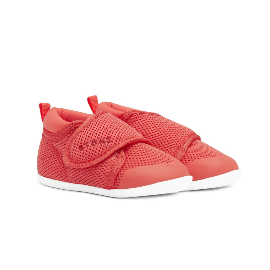 Stonz Cruiser Crabapple