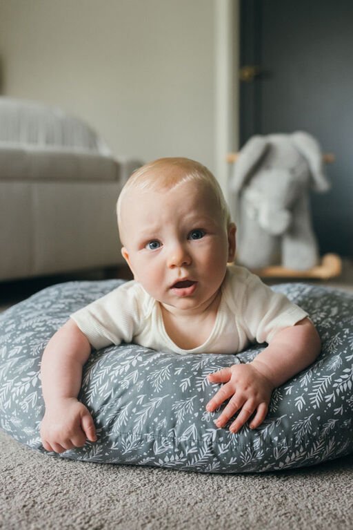 Dr. Brown’s Dr. Brown’s Breastfeeding Pillow