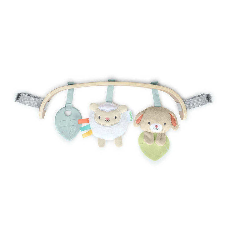 InGenuity Wonder & Wood Carrier Toybar