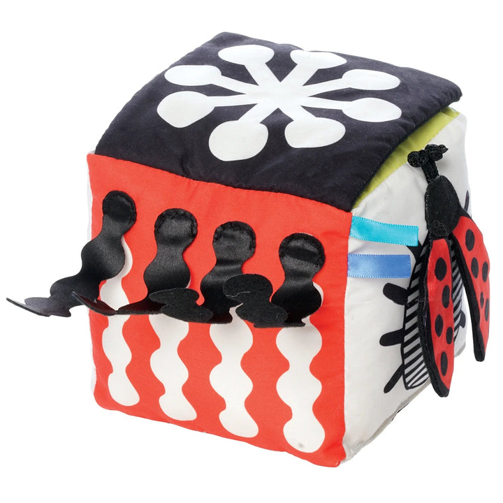 Manhattan Toy Manhattan Toy Wimmer Discovery Cube