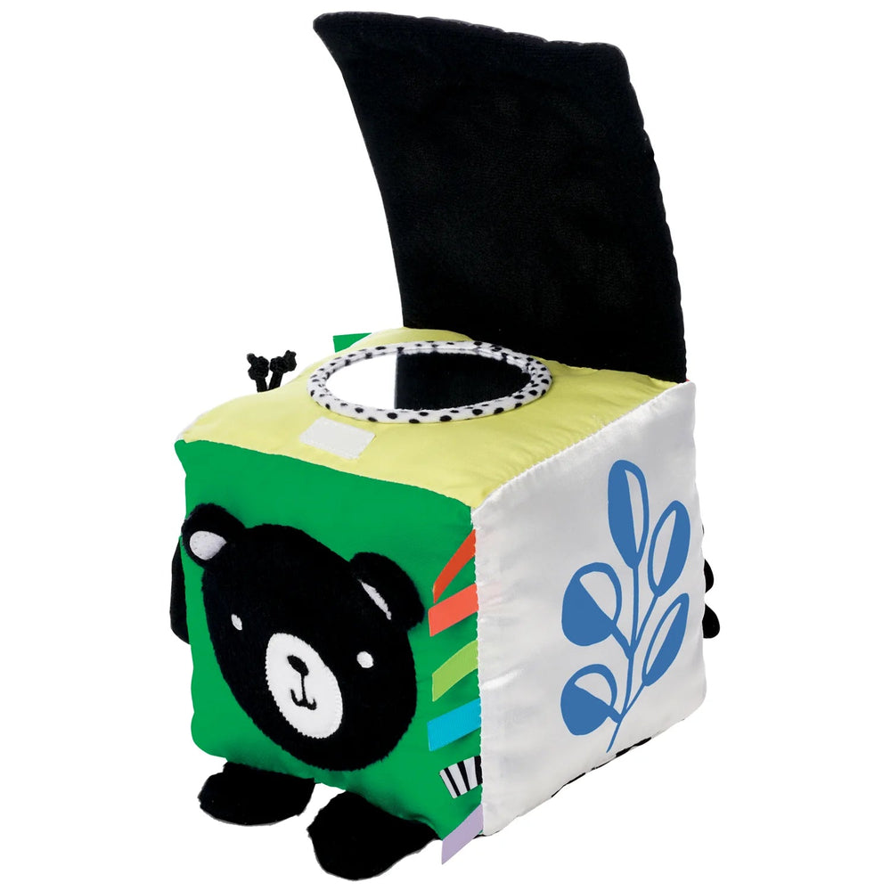 Manhattan Toy Manhattan Toy Wimmer Discovery Cube