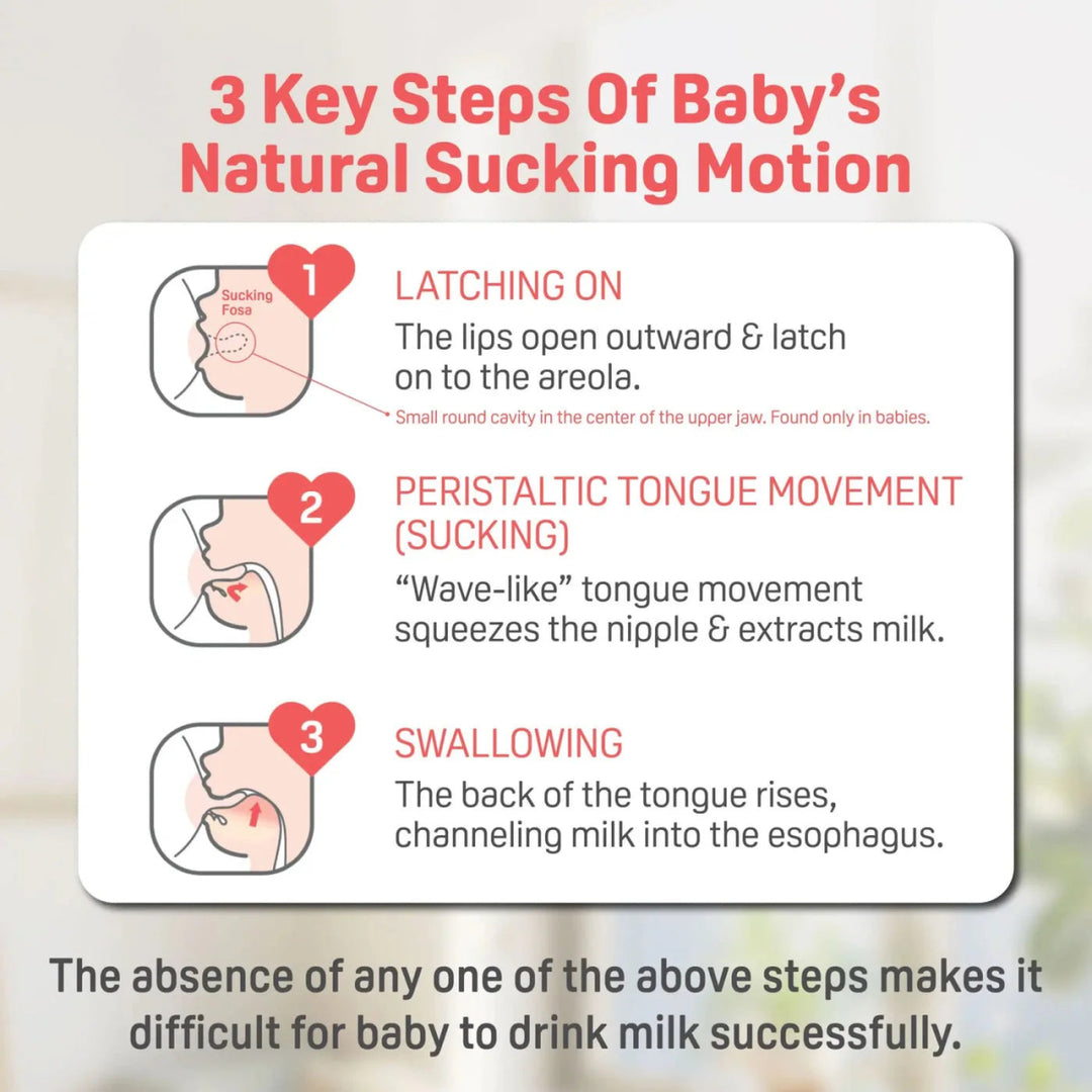 Pigeon Newborn Feeding Gift Set (0+M - 6+M) - Image 4
