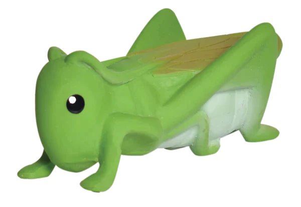 tikiri Grasshopper Natural Rubber Teether, Rattle & Bath Toy