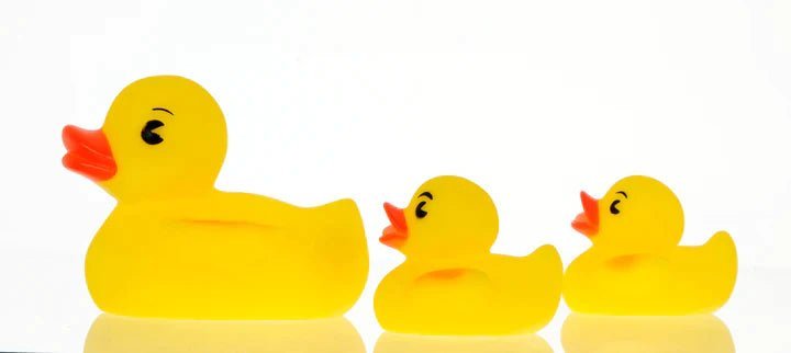 vital baby Play 'n' Splash Ducks 3pc