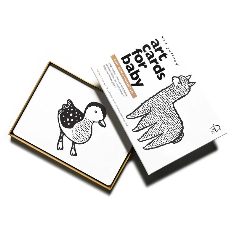 Art Cards-  Baby Animals