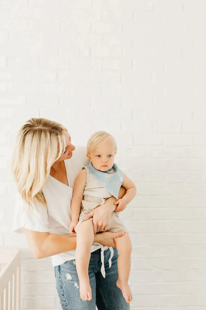 Copper Pearl Bandana Bib 4 Pk
