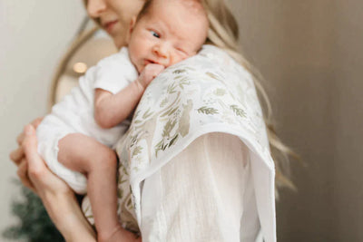 Premium Burp Cloths Rex
