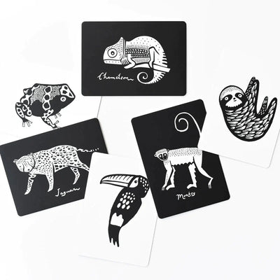 Art Cards-  Rainforest Collection