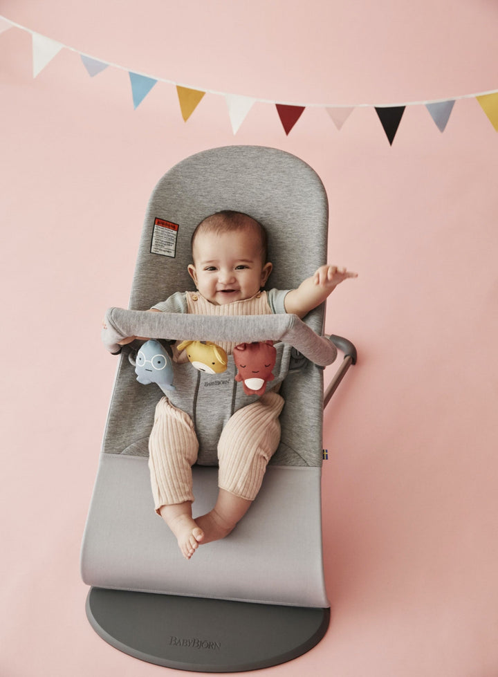 Baby Bjorn Toy For Bouncer Soft Friends