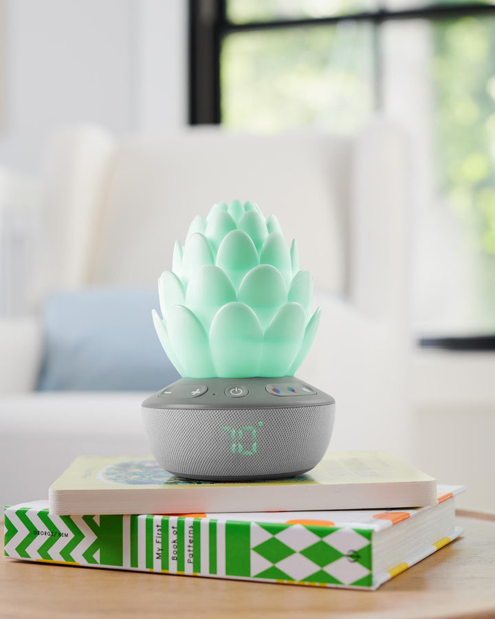 Skip Hop Succulent Glow Sound Machine